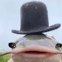 fancy fellow's fancy community