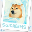 SuiCheems on Sui Mainnet