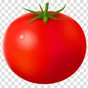 The tomatou Field