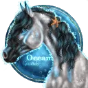 🌊˚。𝑶𝒄𝒆𝒂𝒏 𝑮𝒖𝒂𝒓𝒅𝒔 𝑶𝑺