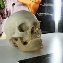 Ghoster‘s Club Discord Server Icon