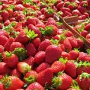 The Strawberri Fields