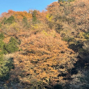 ちゅうしこく憩いの場 Discord server icon