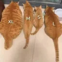 Server icon