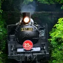 train for all, all for train