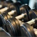 Bro Fitness