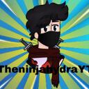 TheninjahydraYT Community Discord Server Icon