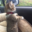 Leah's basement Server Icon