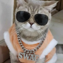 Swagilicious