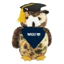 WGU Cybersecurity B.S. & M.S.