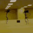 Backrooms Explorers