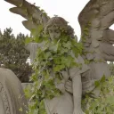 ᴀᴢᴀʟᴇᴀ ᴀᴄᴀᴅᴇᴍʏ ! discord icon