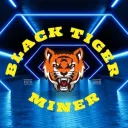 BlackTigerMiner