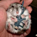 The Hamster Army