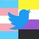 Trans Twt Community