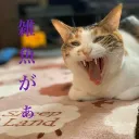 交流会鯖