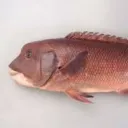 ゲーム部へようこそ！