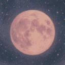 Daydream Kingdom Discord server icon