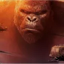 The KONGS