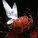 ⁀Organizations of Aomori ˎˊ˗ Discord Server Icon