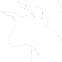The Bull DAO