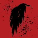 Raven Codes Support