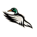 Minnesota Mallards | RETIRED