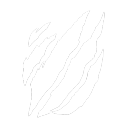 Discovery icon for Tsume Officiel Discord server