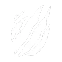 Tsume Officiel