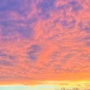 𝔓𝔦𝔵𝔢𝔩 ℭ𝔩𝔬𝔳𝔢 Discord Server Icon