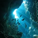 ╰𓆇՞ 🌊깊은 바닷속 친구들