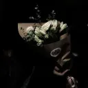 Nightlife Discord Server Icon