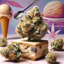 Ice Cream Coalition(ICC)