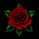 Garden of War Discord Server