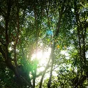 きりしまの作業場
