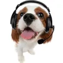 AMM - COP DA VANITY!'s icon