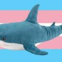 Transfem, Transfem, Transfem Everywhere Discord Server Icon