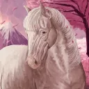 𝐒𝐚𝐤𝐮𝐫𝐚 𝐎𝐒
