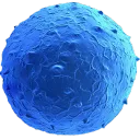 FLAGELA's server