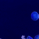 Atlantis Discord server icon