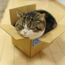 :・゚✧ In The Box ✧:・゚