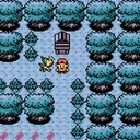 The Ilex Forest