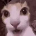 Optix's Server