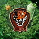 Buffalo State Esports