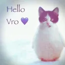 hey vro ❤