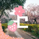 _Rec877_ SERVER