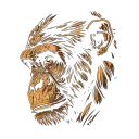 Cavera - The Island of Apes
