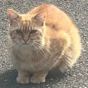 ゆないとぉぉ