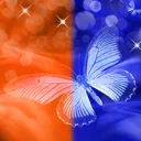 Motyl