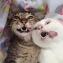 losers cove Discord Server Icon